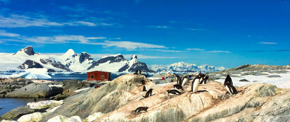 南极的壮丽景色