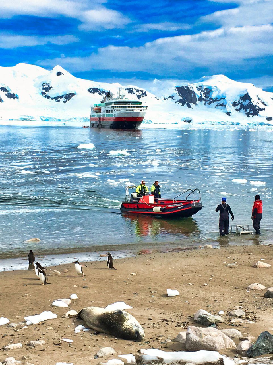 国际南极旅游经营者协会旗下的邮轮